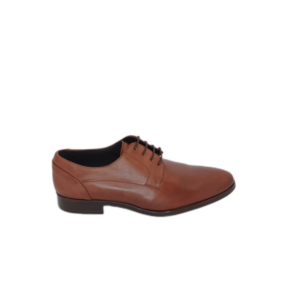Derby Latino Cognac
