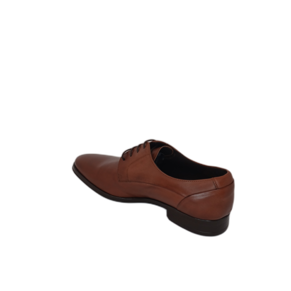Derby Latino Cognac